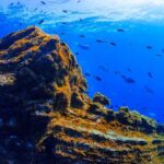 Las Mejores Zonas para Bucear en las Islas Canarias: Maravillas Submarinas que Debes Explorar