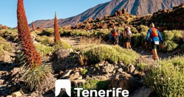 Sí, ya huele a sendero, a roca volcánica, a pinar húmedo, a polvo del Teide... porque la Tenerife Bluetrail by UTMB 2026 ya tiene fechas