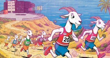 Hay carreras que se corren con las piernas y con el alma. La XI Carrera Popular y Solidaria Trotadunas 2026 es una de esas.