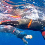 IV Travesía South West Tenerife 2026, ¡15 km a nado por el paraíso!