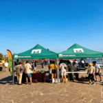 Un centenar de personas limpia Playa Martiánez y recoge 6.000 colillas gracias a “Surfing With Me”